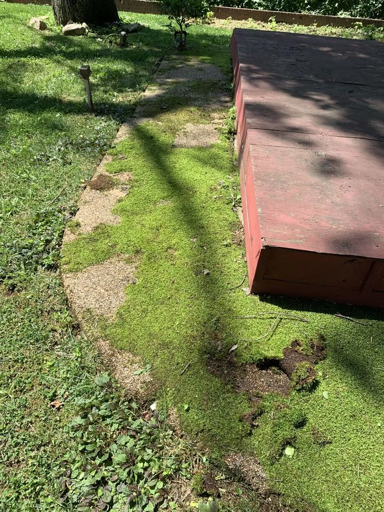 Reliable landscape installation in Bethesda, MD by Bethesda's Landscaping