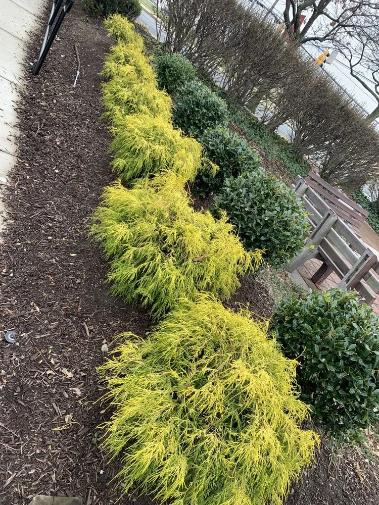 Affordable landscape installation for year-round maintenance across Bethesda, MD - Bethesda's Landscaping