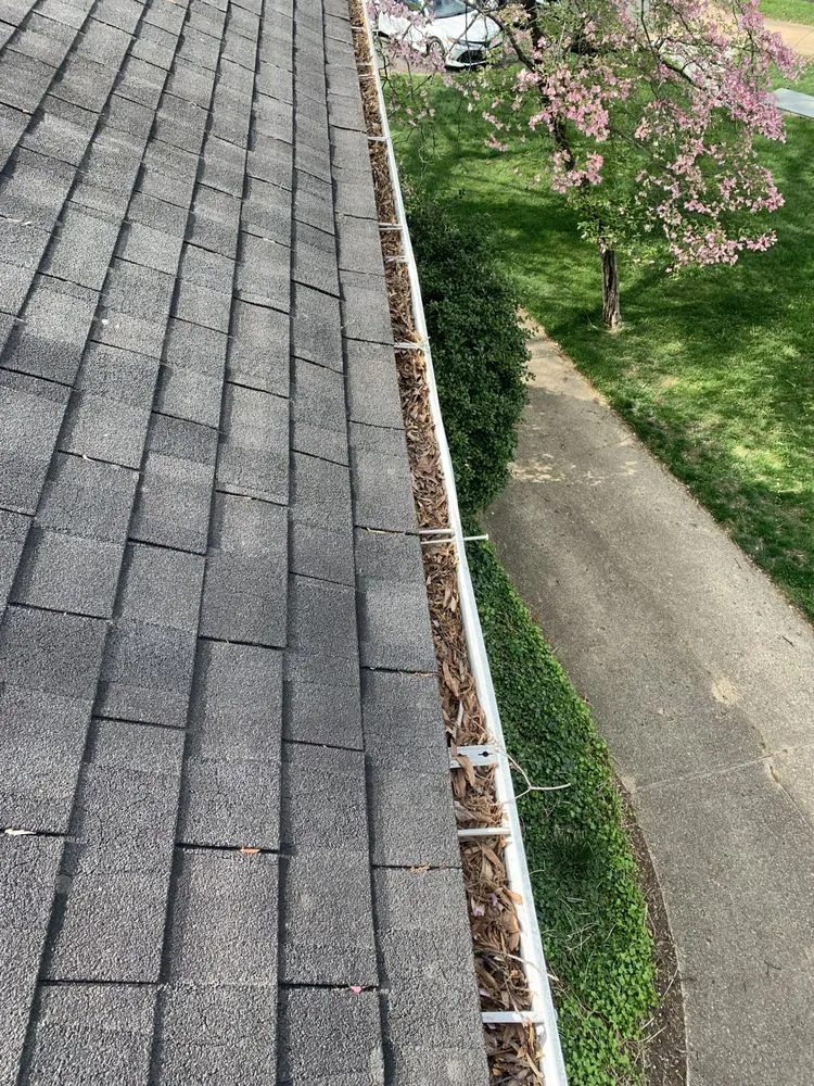 Professional yard cleanup service near you in Bethesda, MD by Bethesda's Landscaping