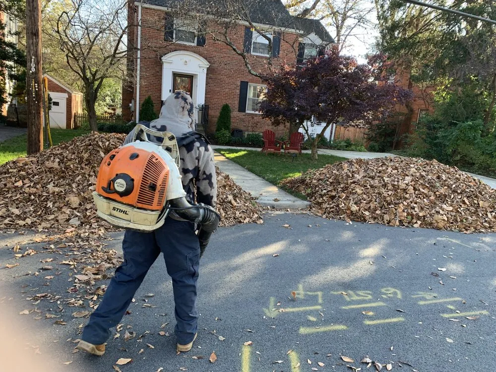 Affordable residential landscaping in Bethesda, MD - Bethesda's Landscaping