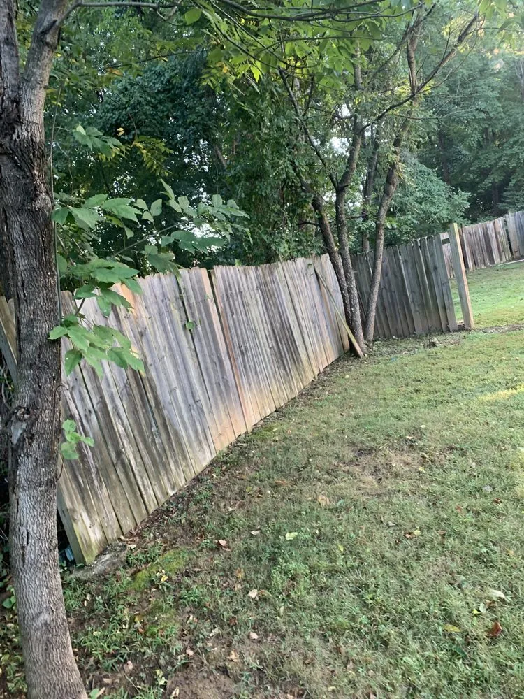 Professional yard maintenance in Bethesda, MD by Bethesda's Landscaping