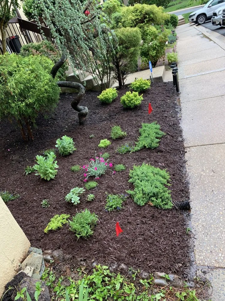 Reliable lawn care service in Bethesda, MD - Bethesda's Landscaping