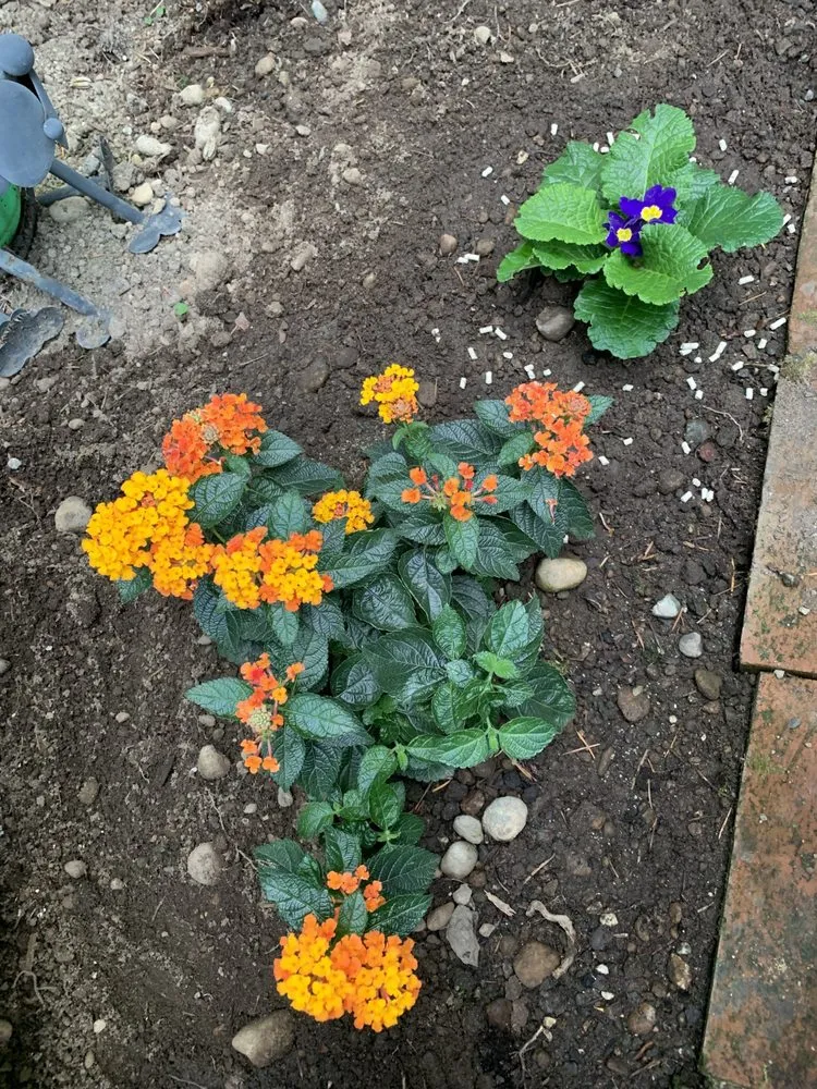 Top-rated garden landscaping in Redmond, WA - Beth’s Landscaping