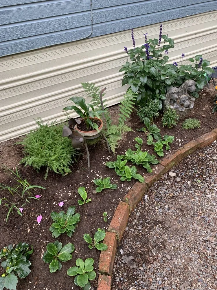 Affordable lawn care service near you in Redmond, WA by Beth’s Landscaping