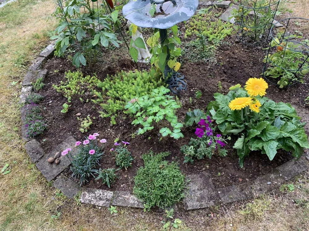 Custom yard maintenance for year-round maintenance across Redmond, WA - Beth’s Landscaping