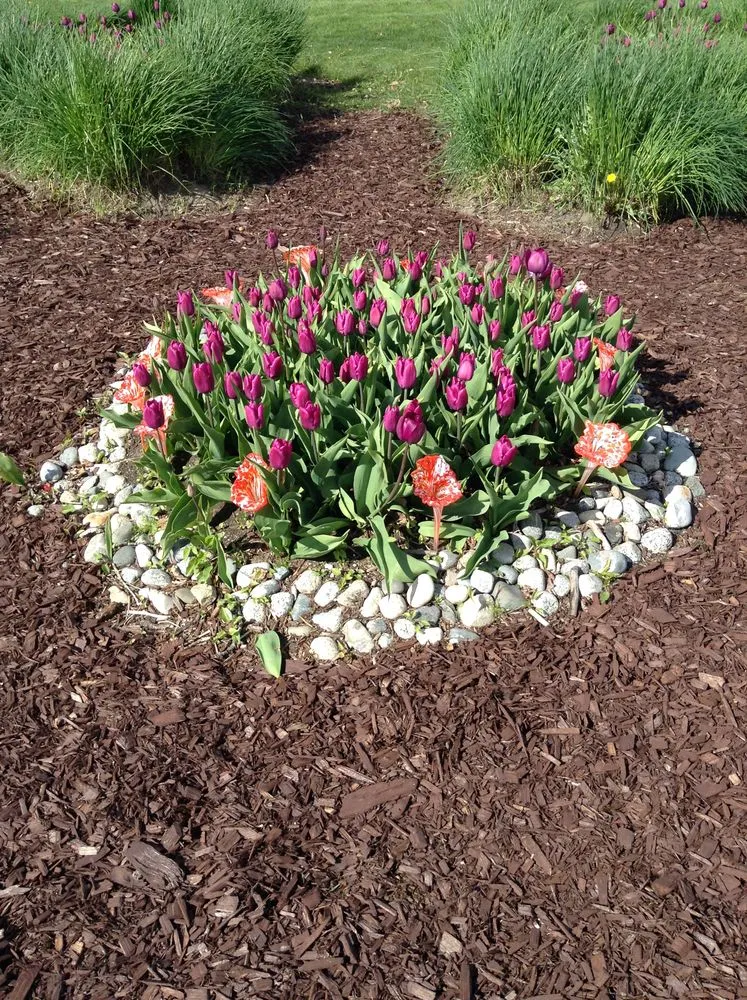 Top-rated lawn care service experts serving Redmond, WA - Beth’s Landscaping