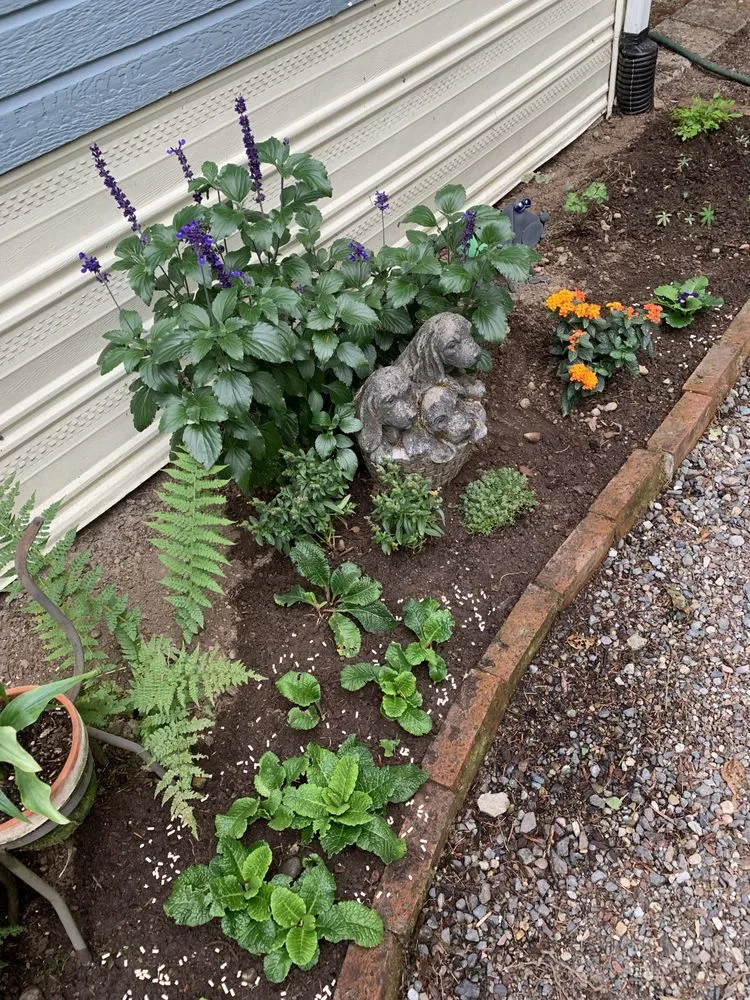 Expert landscaping services in Redmond, WA - Beth’s Landscaping