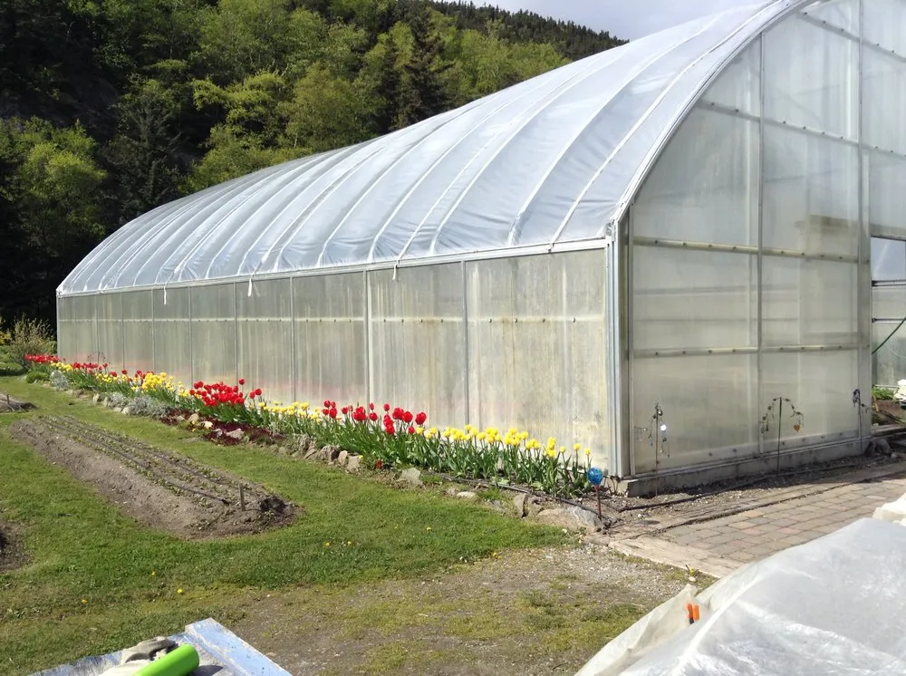 Professional yard maintenance with custom design in Redmond, WA by Beth’s Landscaping