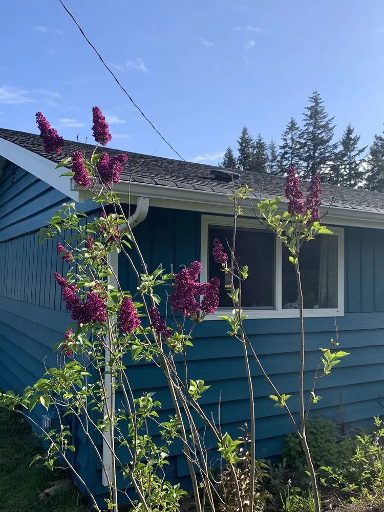 Custom garden landscaping near you across Redmond, WA - Beth’s Landscaping