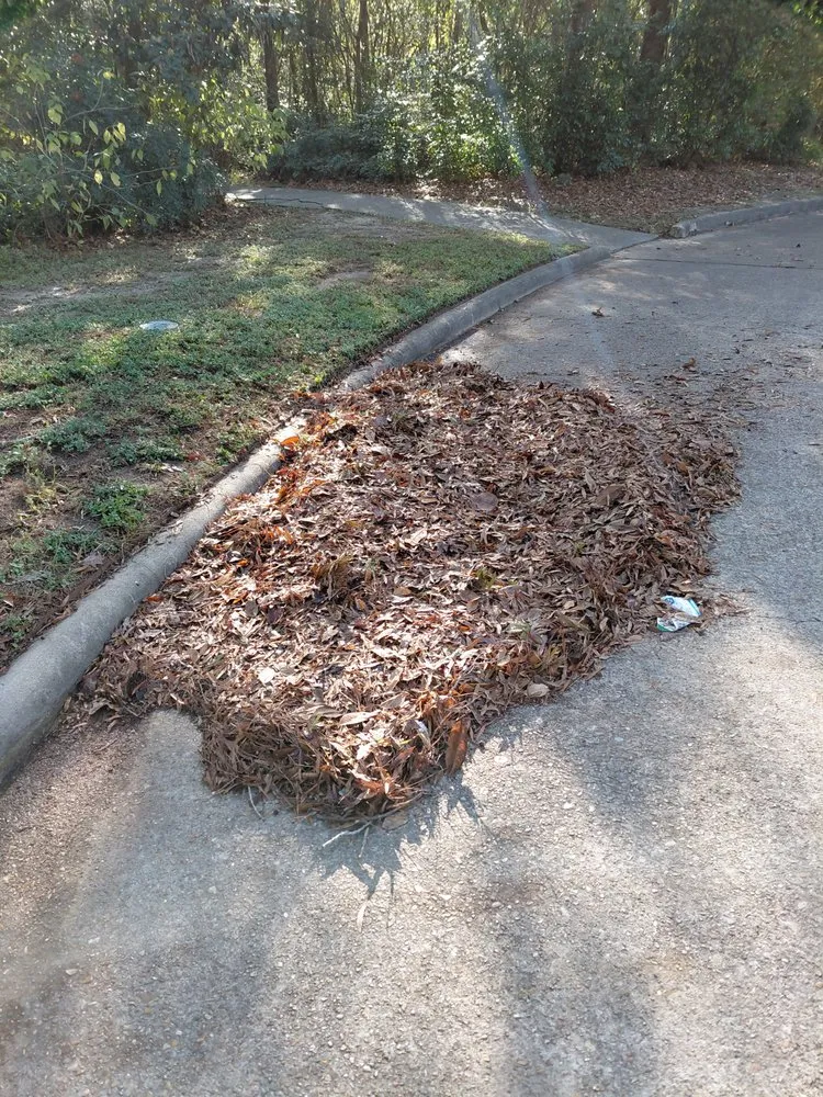 Affordable lawn care service experts serving Houston, TX - Beto N Bros Lawn Care