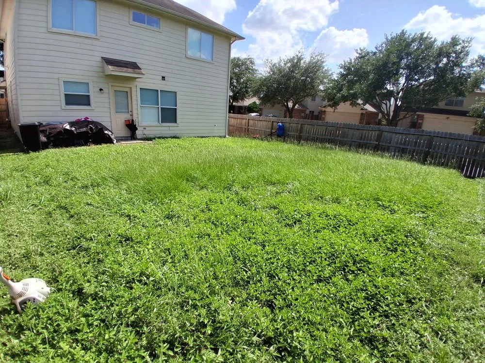 Top-rated landscape design in Houston, TX - Beto N Bros Lawn Care