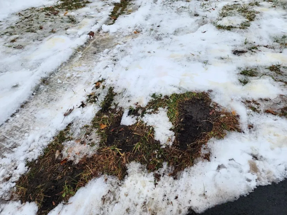 Trusted yard cleanup service experts serving Buffalo Grove, IL - Beto Najera Landscaping