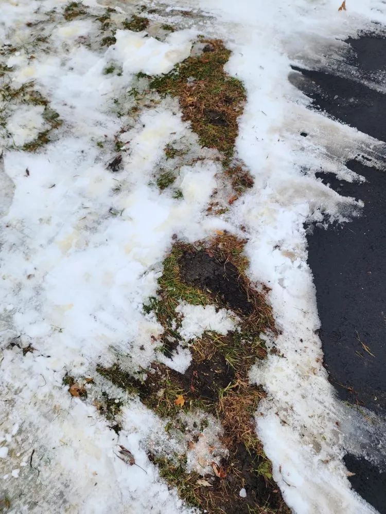 Local lawn care service in Buffalo Grove, IL by Beto Najera Landscaping