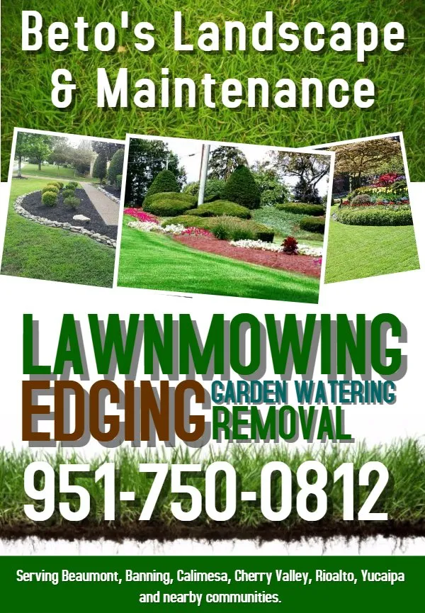 Custom lawn mowing service in Banning, CA by Beto's Landscape & Maintenance