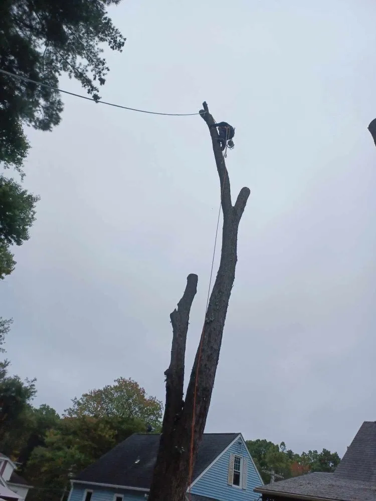 Reliable garden landscaping for outdoor upgrades in West Hartford, CT by Beto's Landscaping and Trees Service