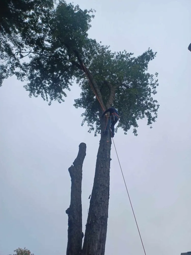 Reliable garden landscaping in West Hartford, CT - Beto's Landscaping and Trees Service