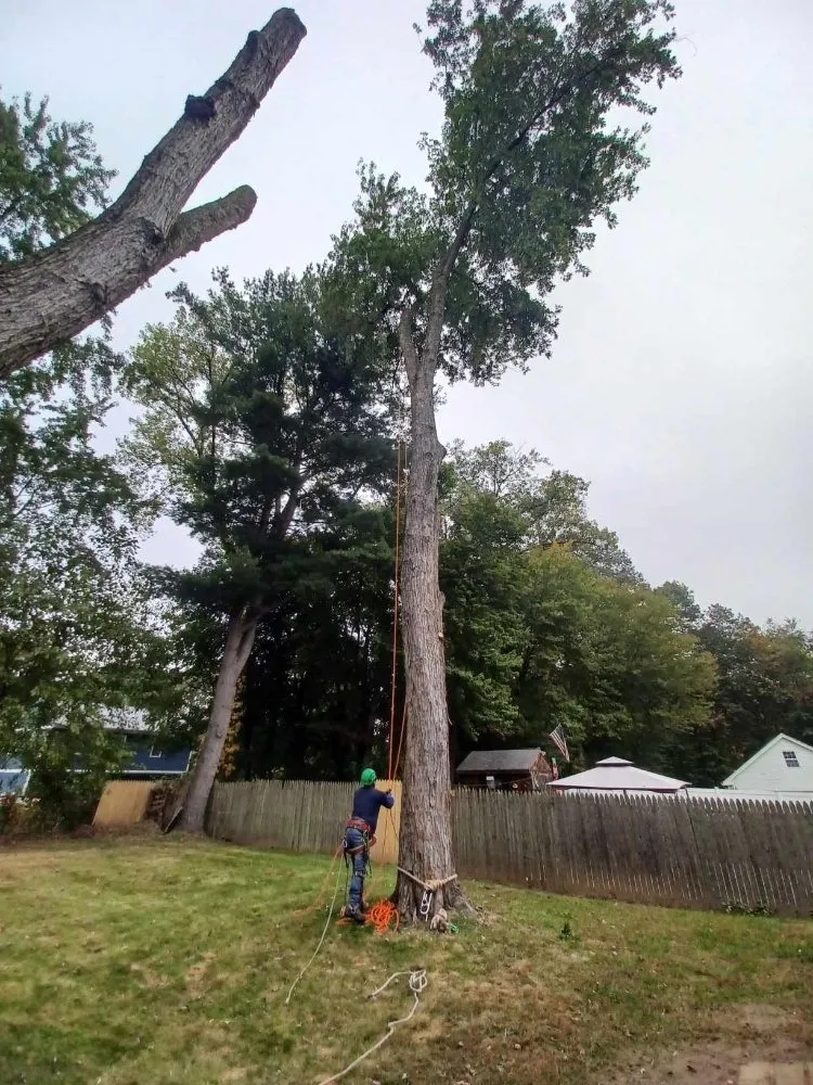 Local lawn mowing service for residential properties in West Hartford, CT by Beto's Landscaping and Trees Service