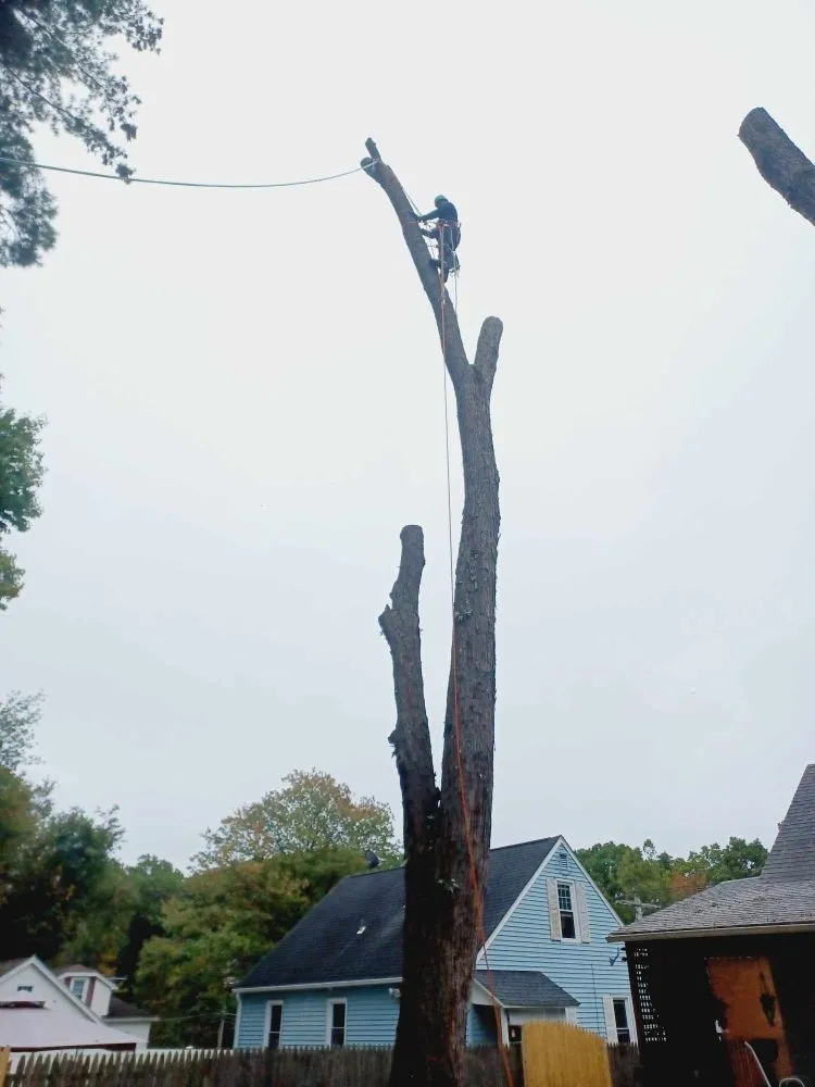 Reliable lawn care service experts serving West Hartford, CT - Beto's Landscaping and Trees Service