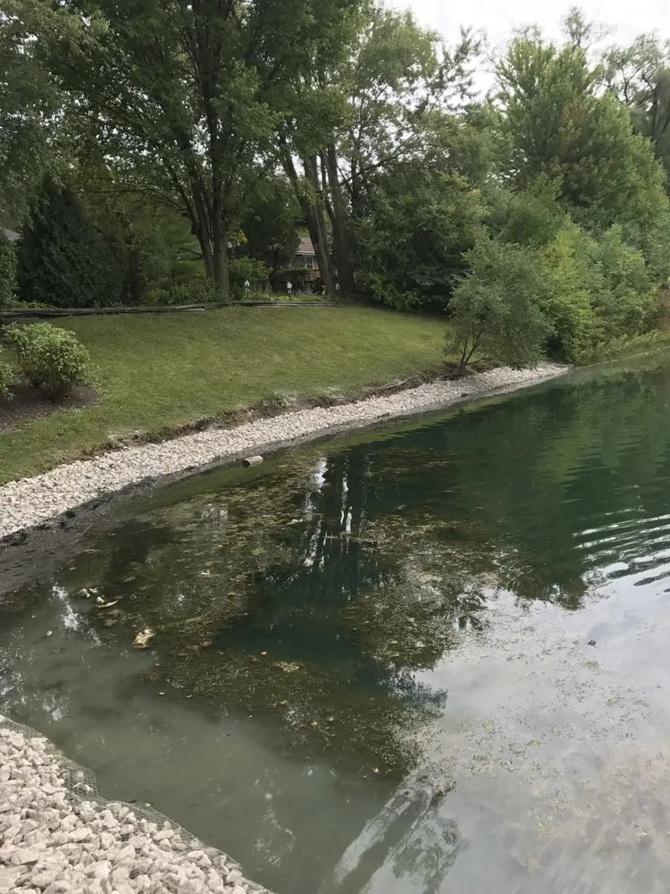 Expert landscaping services for residential properties across Carol Stream, IL - Beto’s Landscaping