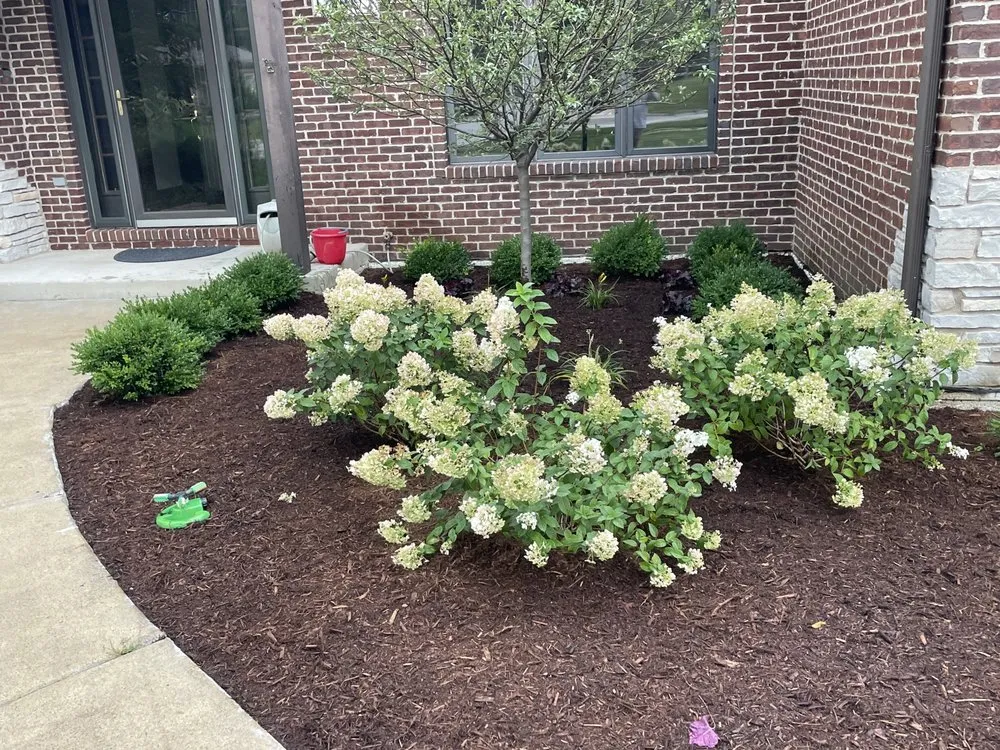 Local lawn care service in Carol Stream, IL - Beto’s Landscaping