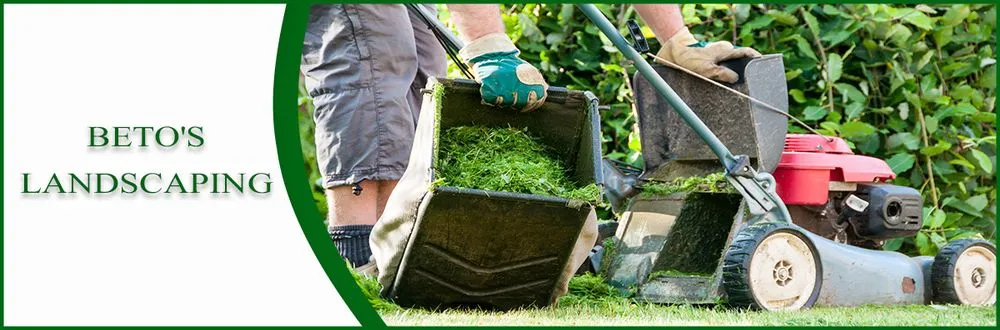 Professional residential landscaping for residential properties in Petaluma, CA by Beto's Landscaping