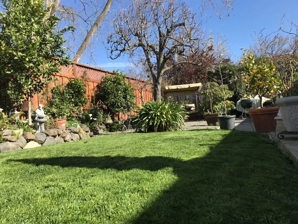 Trusted residential landscaping near you in Petaluma, CA by Beto's Landscaping