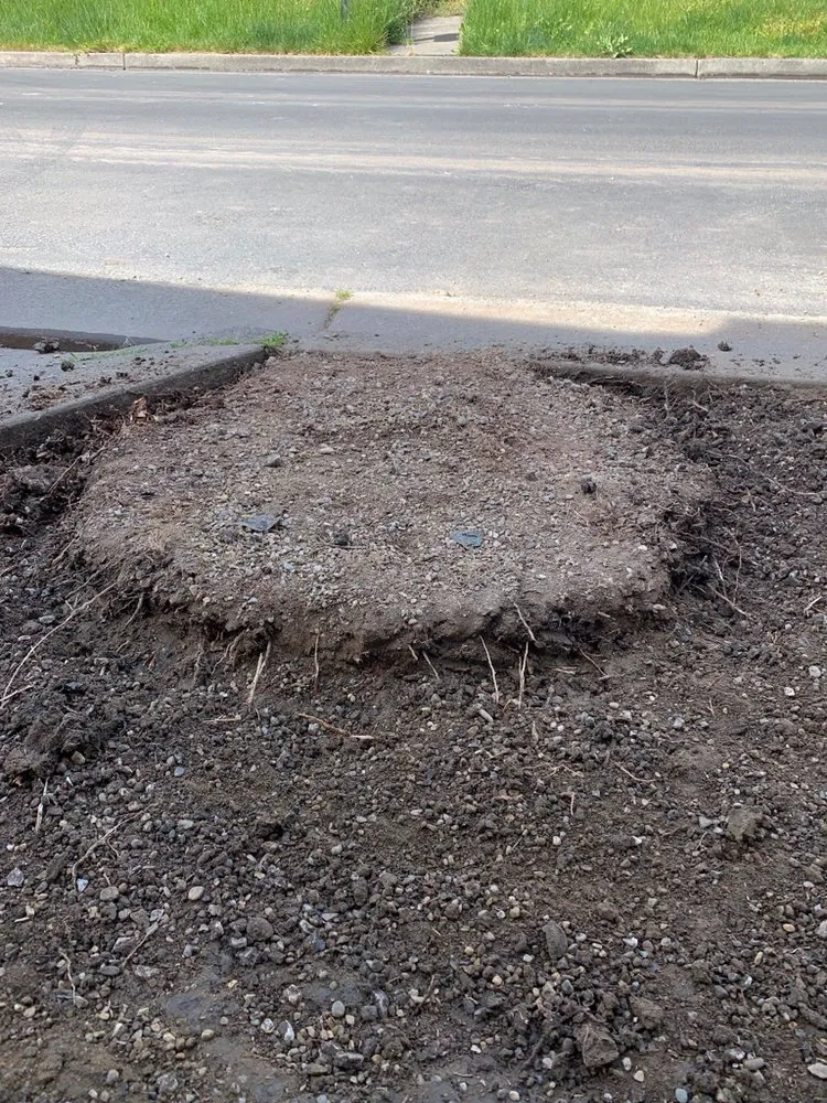 Professional landscape installation experts serving Petaluma, CA - Beto's Landscaping