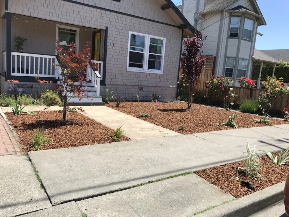 Local landscaping services in Petaluma, CA by Beto's Landscaping