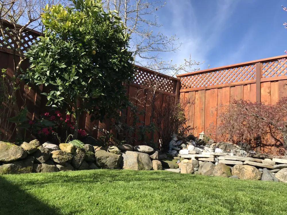 Local yard maintenance in Petaluma, CA - Beto's Landscaping