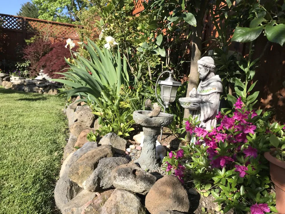 Trusted residential landscaping experts serving Petaluma, CA - Beto's Landscaping