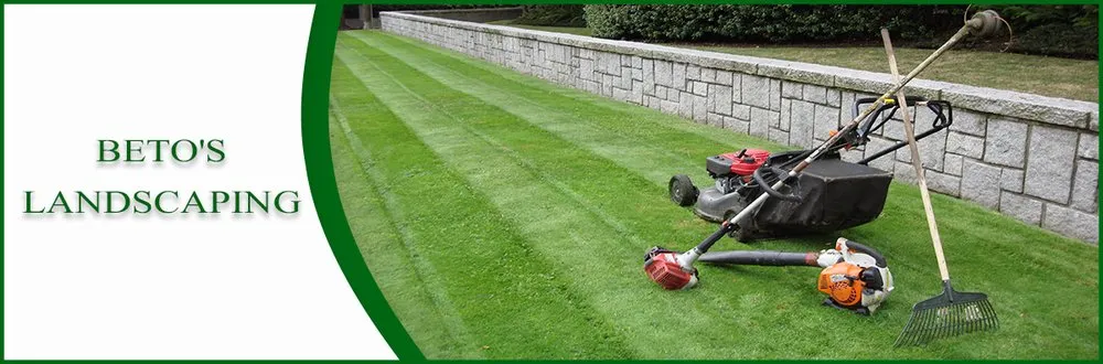Top-rated yard cleanup service experts serving Petaluma, CA - Beto's Landscaping
