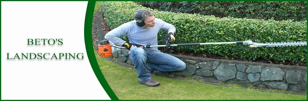 Affordable lawn mowing service in Petaluma, CA by Beto's Landscaping