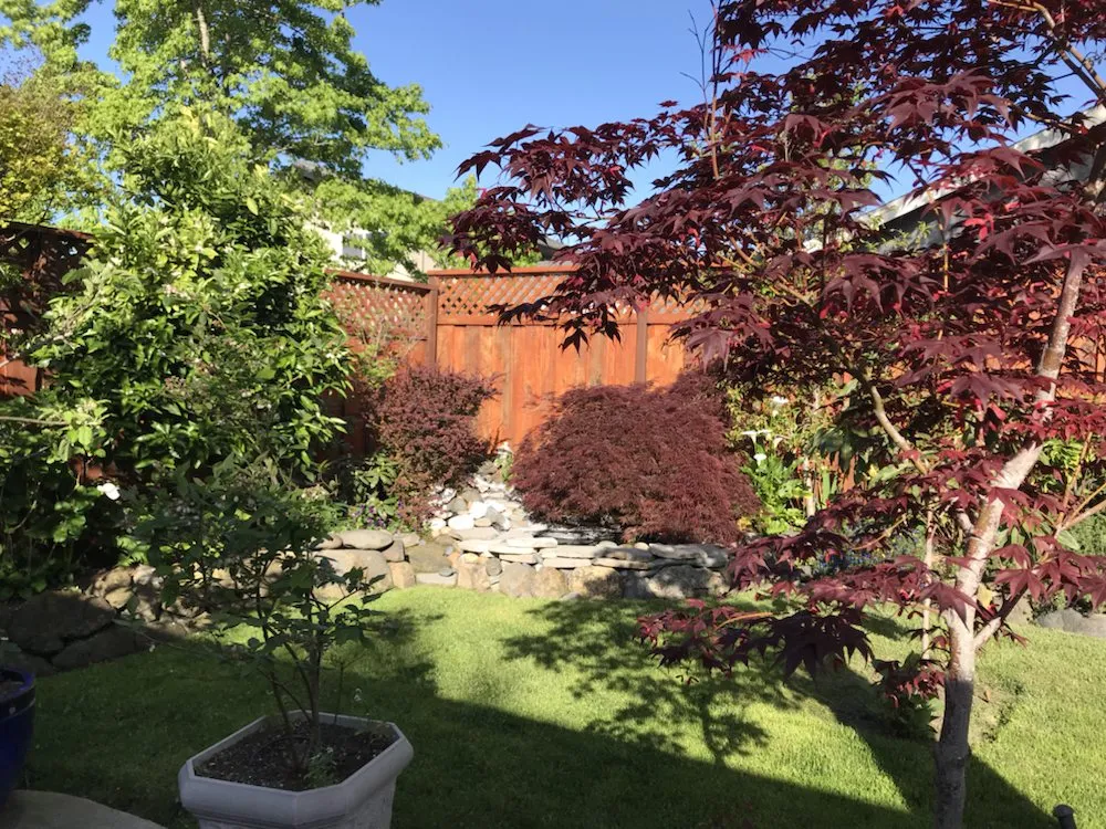 Affordable lawn mowing service in Petaluma, CA by Beto's Landscaping