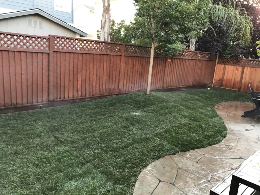 Expert lawn care service in Petaluma, CA by Beto's Landscaping