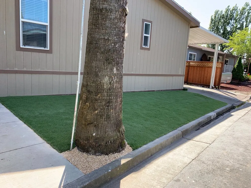 Affordable yard maintenance in Petaluma, CA by Beto's Landscaping