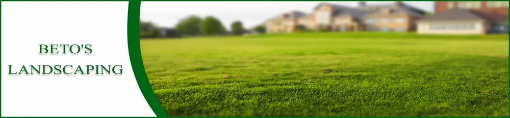 Custom landscaping services with custom design across Petaluma, CA - Beto's Landscaping