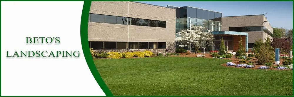 Reliable yard cleanup service in Petaluma, CA - Beto's Landscaping