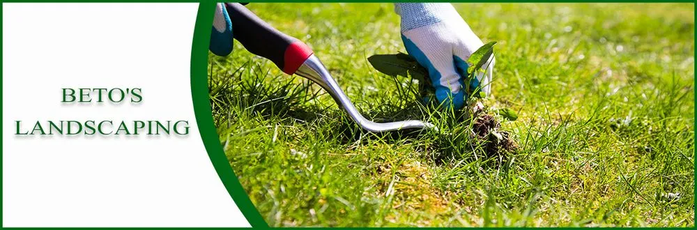 Local landscape installation experts serving Petaluma, CA - Beto's Landscaping