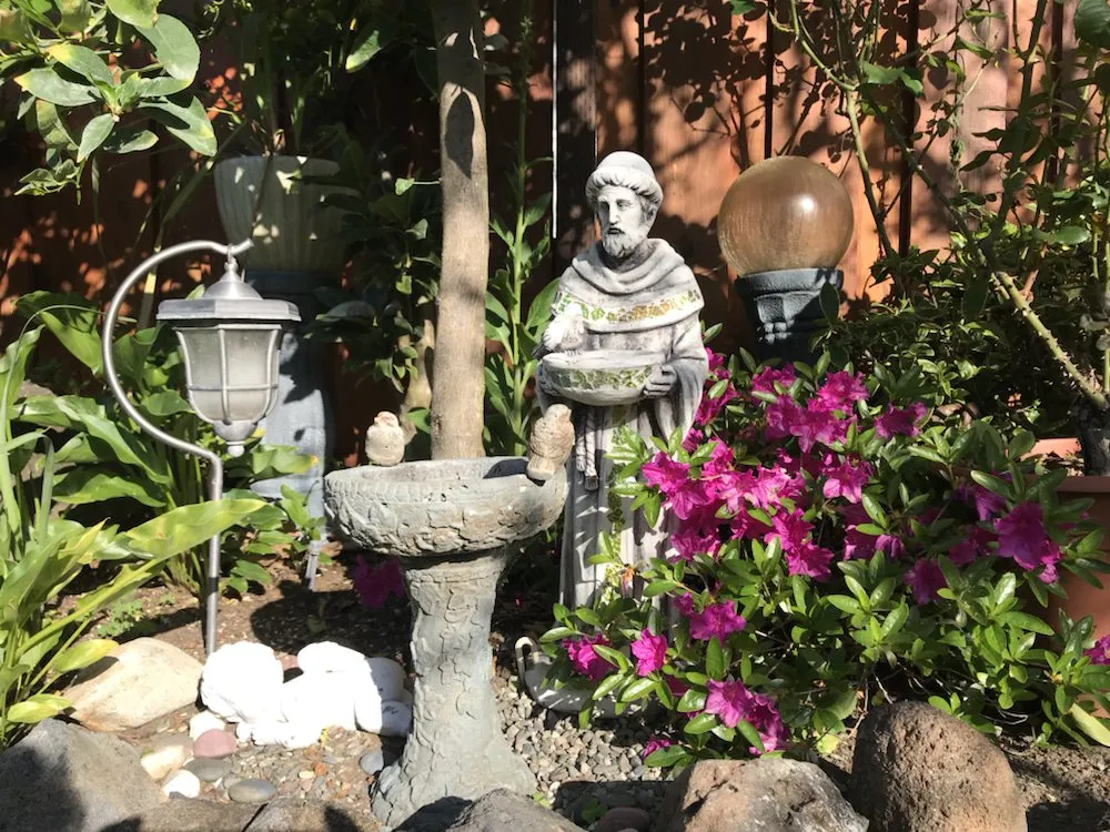 Affordable landscape installation experts serving Petaluma, CA - Beto's Landscaping