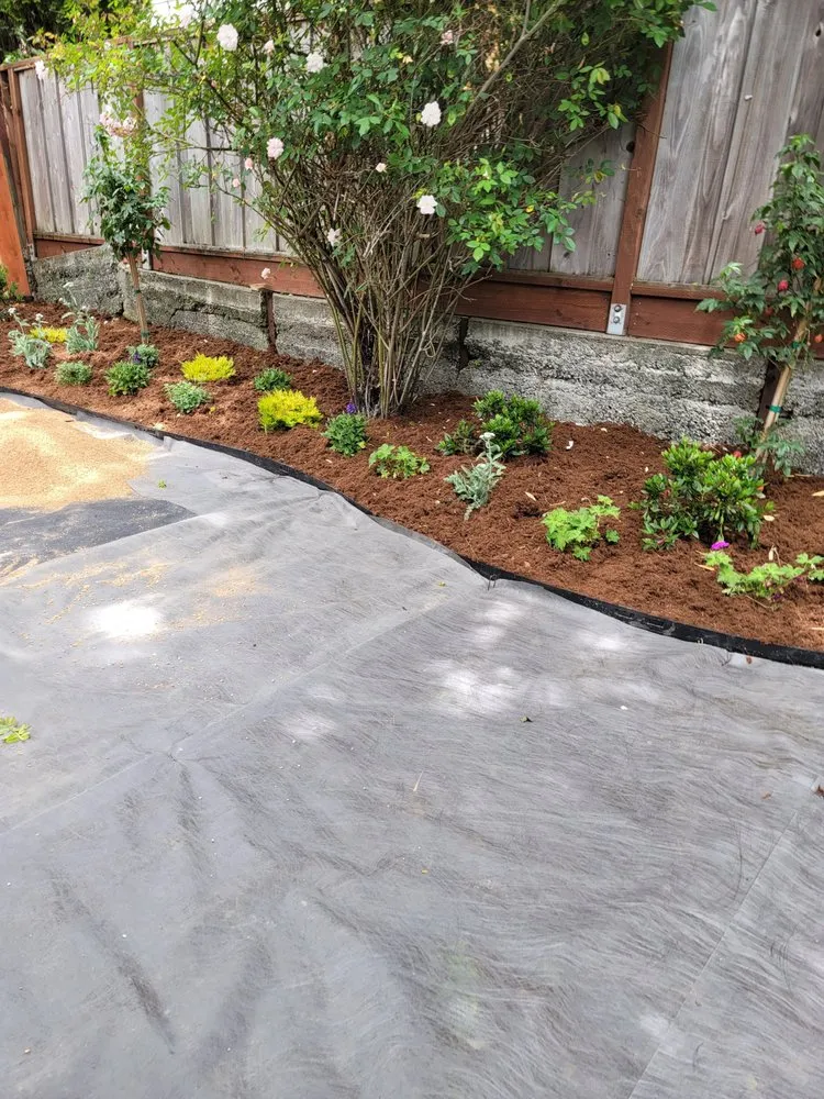 Professional landscape installation experts serving South San Francisco, CA - Beto's Landscaping