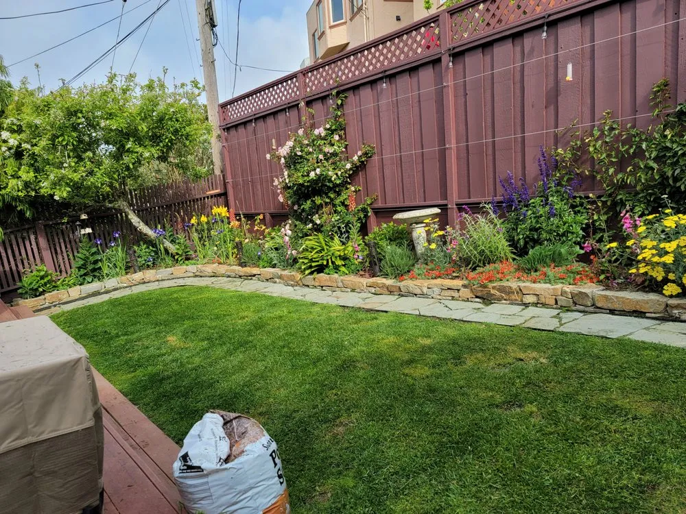 Affordable landscape design in South San Francisco, CA - Beto's Landscaping