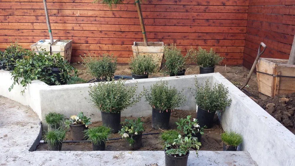 Affordable yard maintenance with custom design in South San Francisco, CA by Beto's Landscaping