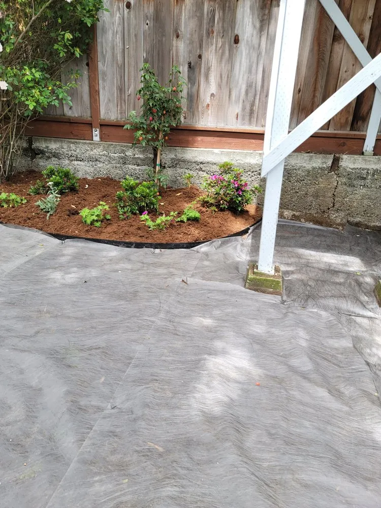 Expert landscape installation in South San Francisco, CA - Beto's Landscaping