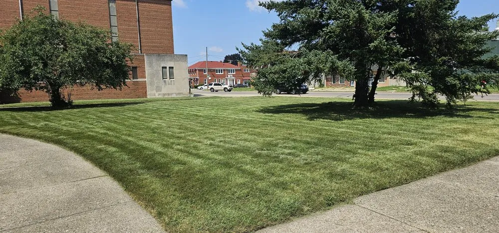 Custom lawn mowing service for beautiful yards in Detroit, MI by Better And Brighter Future Services