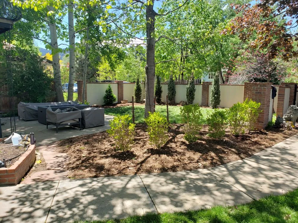 Professional landscape design in Boulder, CO by Better Blooms