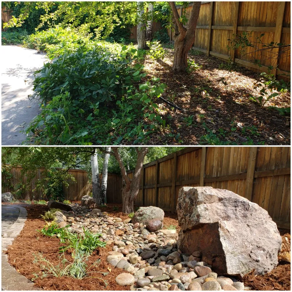 Custom landscaping services experts serving Boulder, CO - Better Blooms