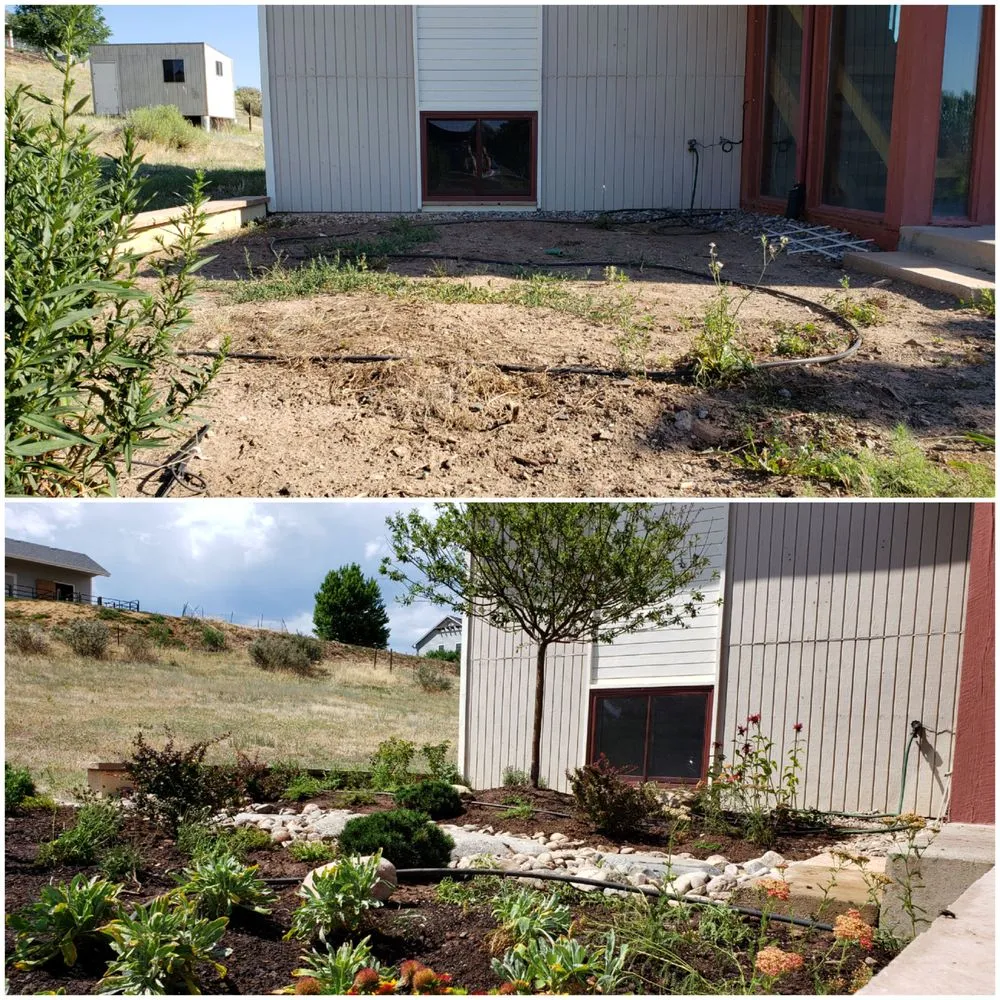 Professional landscaping services in Boulder, CO by Better Blooms