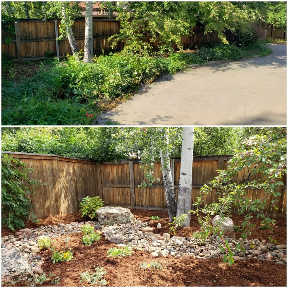 Top-rated landscaping services in Boulder, CO - Better Blooms