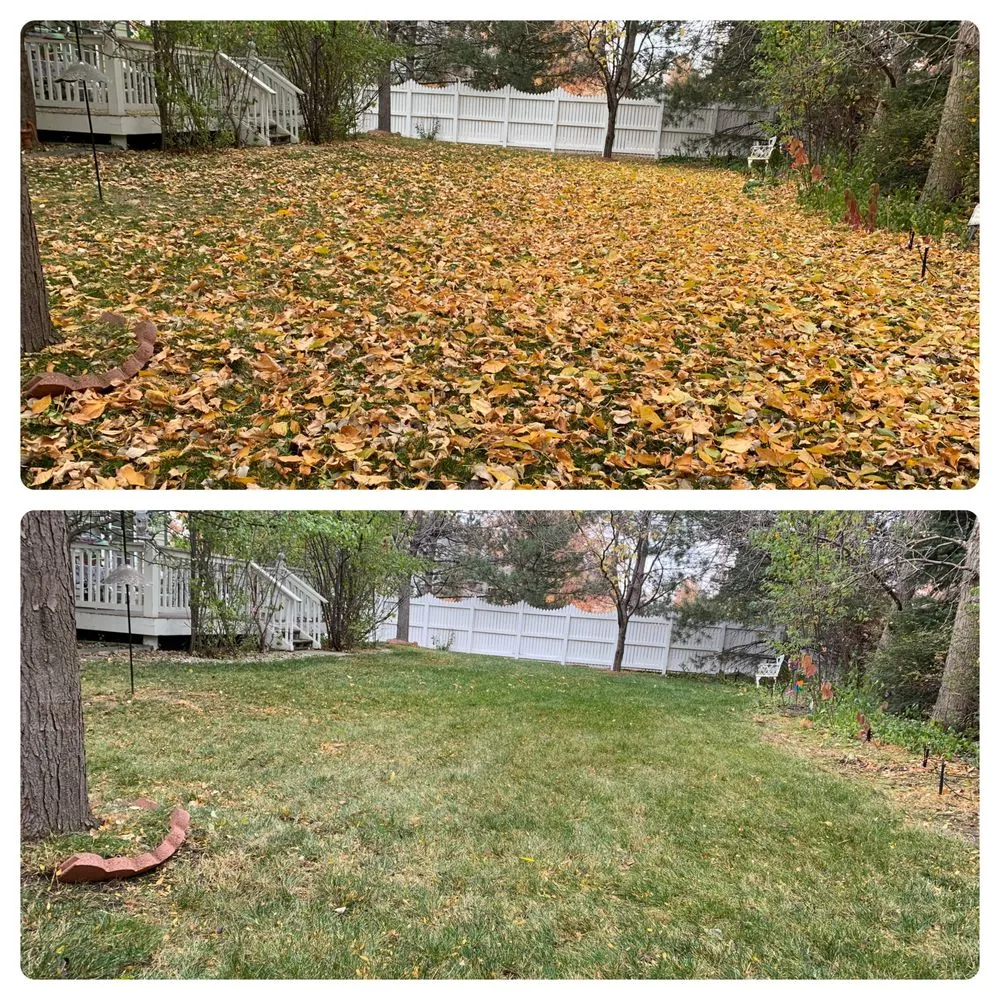 Local yard cleanup service experts serving Boulder, CO - Better Blooms
