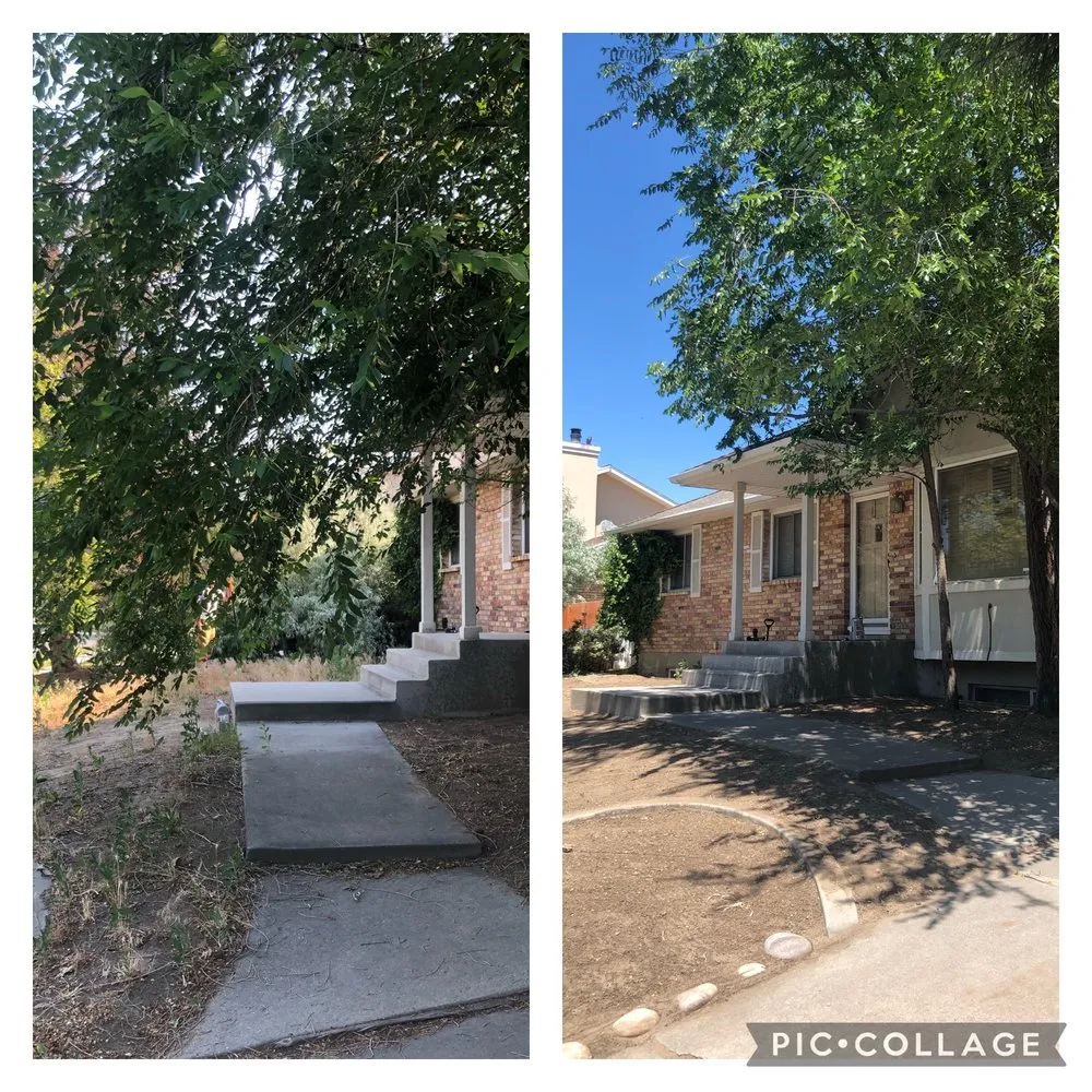 Affordable outdoor landscaping experts serving Bluffdale, UT - Better Bros Tree & Yard Care